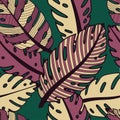 Monstera leaf pattern in green and braun colors